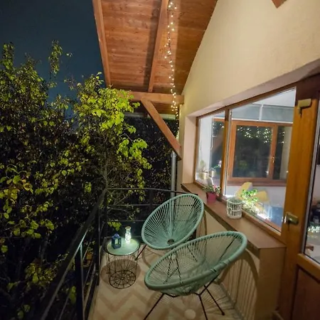 Dragonfly With Garden *