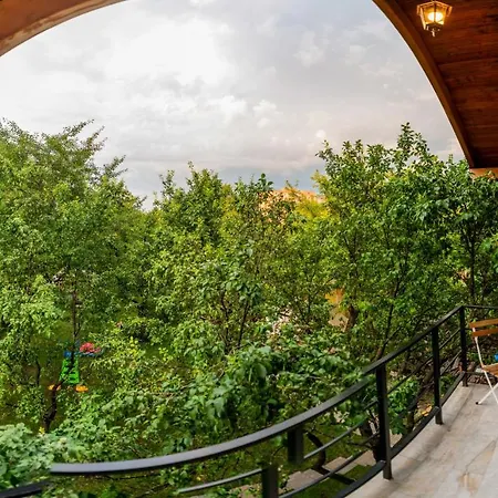 Dragonfly With Garden Braşov