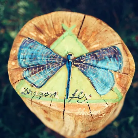 Dragonfly With Garden Apartment