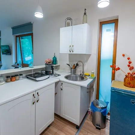 Apartment Dragonfly With Garden & Free Private Parking Brasov