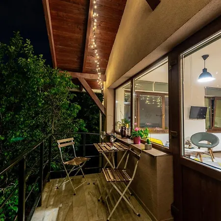 Dragonfly With Garden