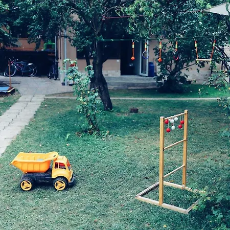 Dragonfly With Garden Braşov