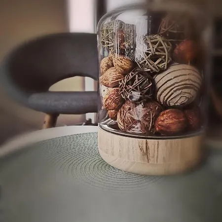 Dragonfly With Garden *