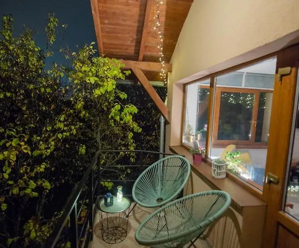 Dragonfly With Garden *