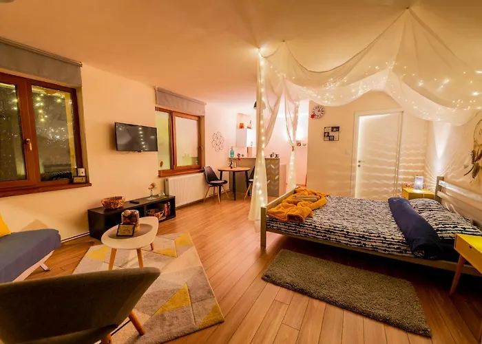 Dragonfly With Garden * 布拉索夫