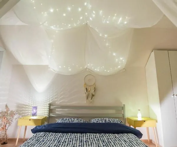 Dragonfly With Garden