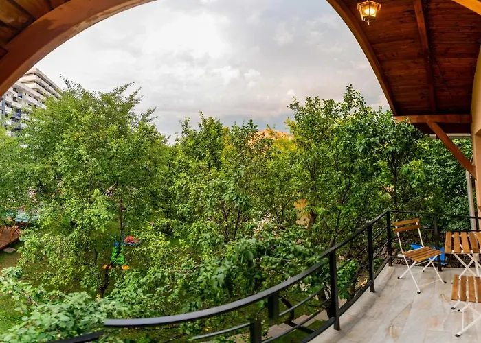 Dragonfly With Garden 布拉索夫