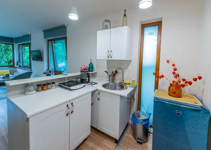 Apartamento Dragonfly With Garden Braşov