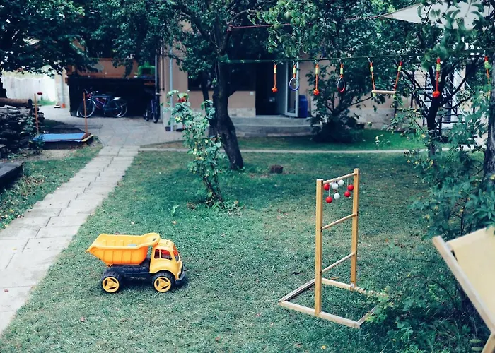 Dragonfly With Garden Braşov