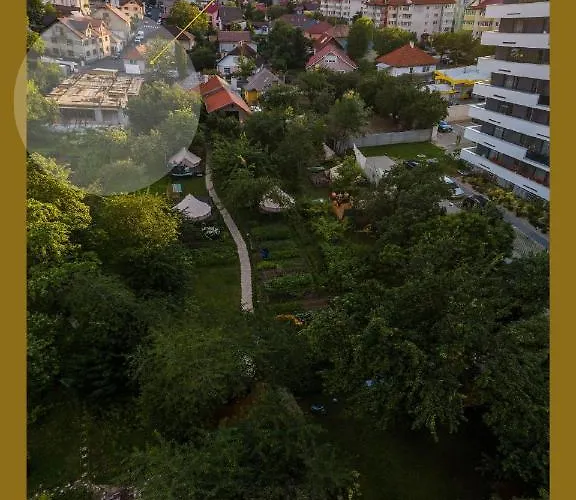 Dragonfly With Garden *