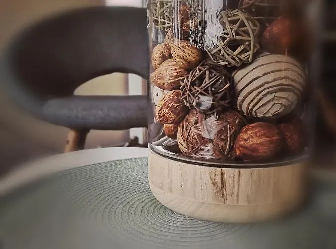 Dragonfly With Garden *