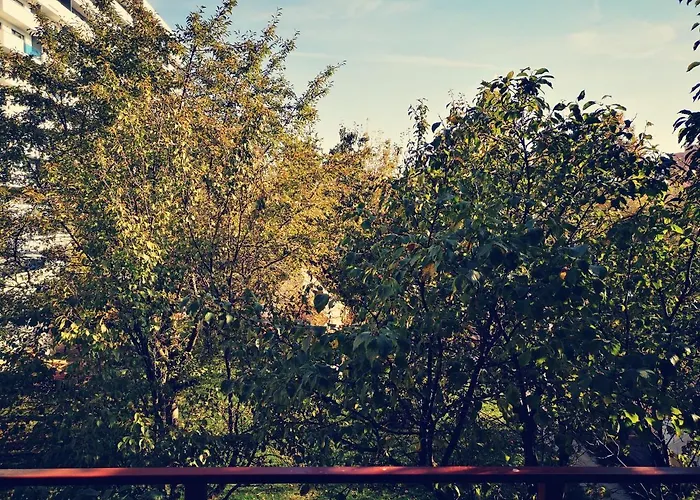 公寓 Dragonfly With Garden *