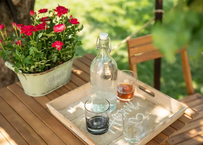 Dragonfly With Garden * Braşov