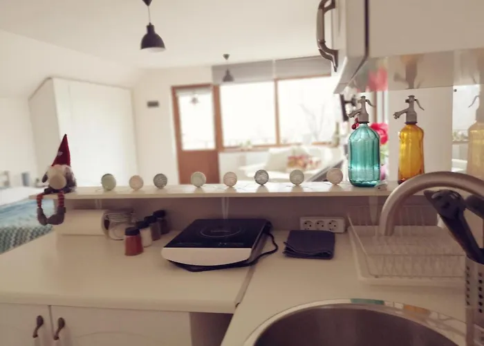 Dragonfly With Garden 布拉索夫