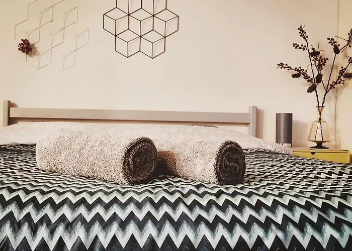 Dragonfly With Garden