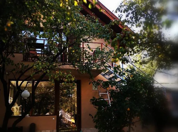 Dragonfly With Garden